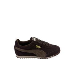 Puma Arizona
